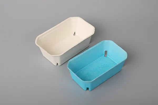 Fresh-food-tray-01.webp
