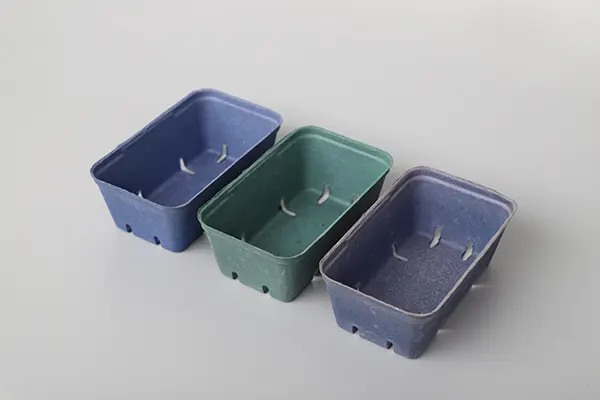 Fresh-food-tray-02.webp