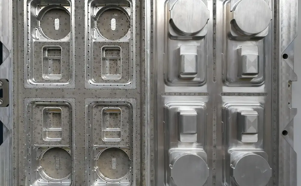 mold-03.webp